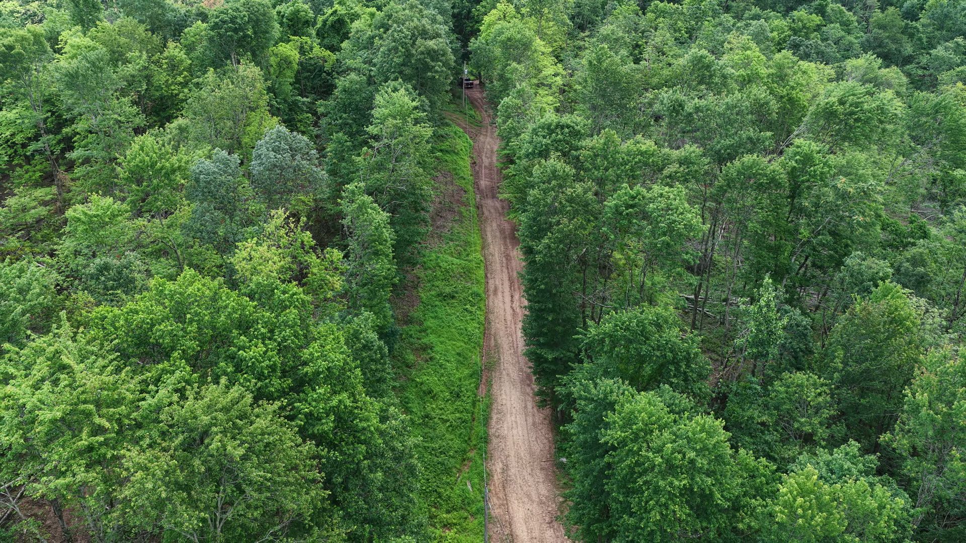 16 Acres Bordering Wayne National Forest in Washington County, OH - Shay Ridge Road Tract 10 - Photo 3