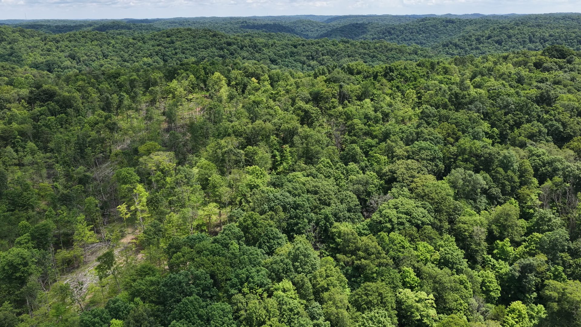 16 Acres Bordering Wayne National Forest in Washington County, OH - Shay Ridge Road Tract 10 - Photo 4