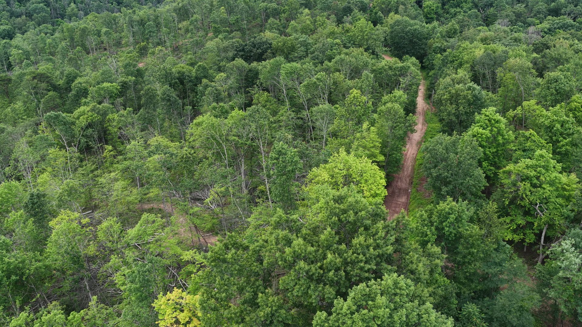 16 Acres Bordering Wayne National Forest in Washington County, OH - Shay Ridge Road Tract 10 - Photo 6