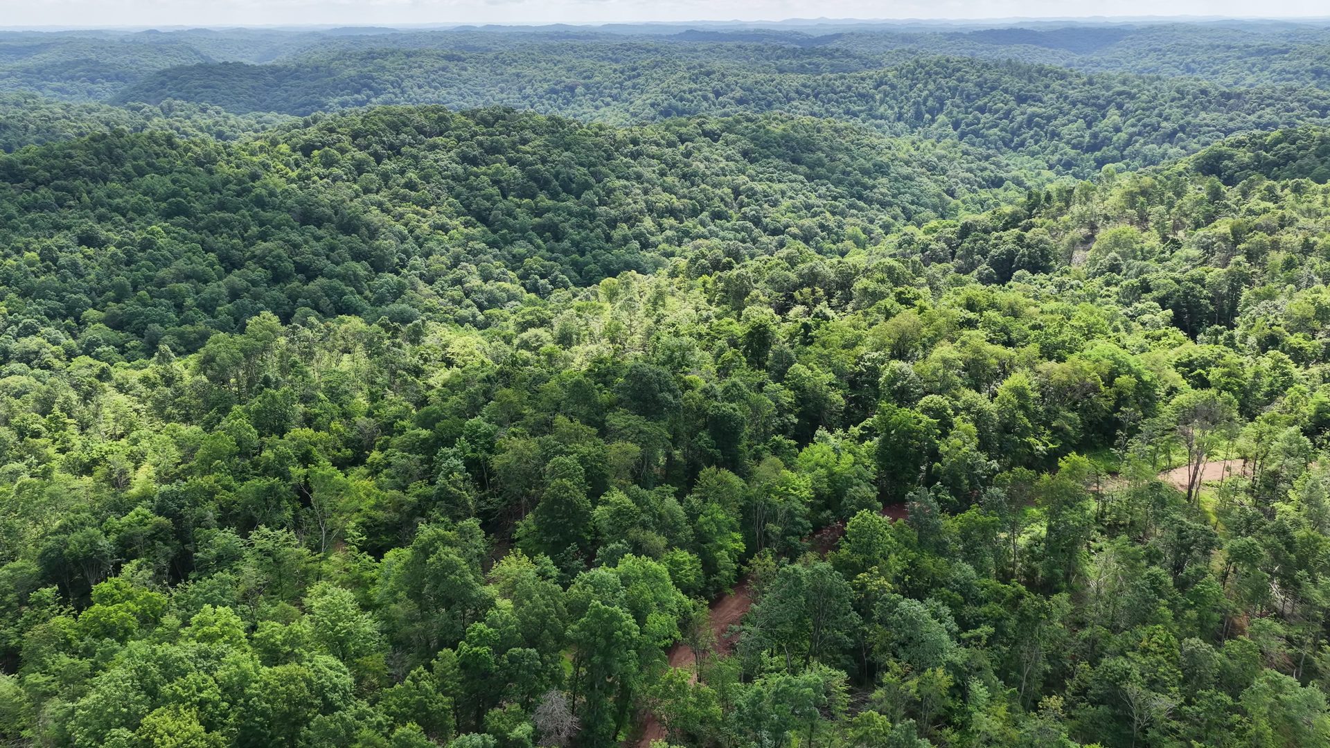 16 Acres with Ravine in Washington County, OH - Shay Ridge Road Tract 3 - Photo 2