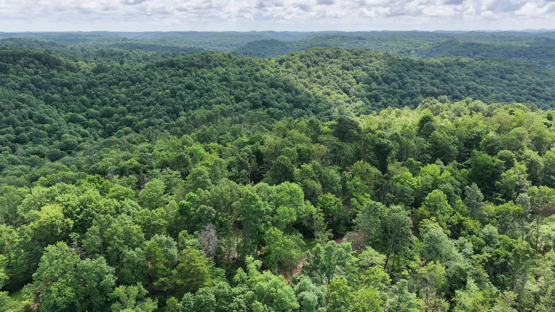 16 Acres with Ravine in Washington County, OH - Shay Ridge Road Tract 3 - Photo 11