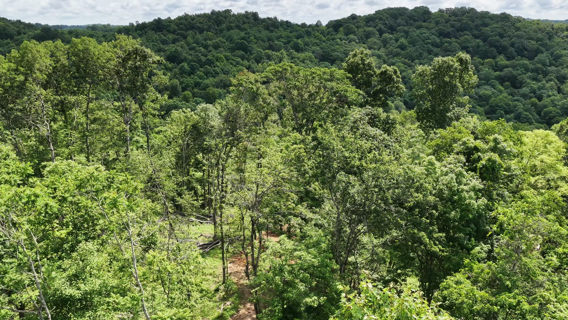 16 Acres with Ravine in Washington County, OH - Shay Ridge Road Tract 3 - Photo 14