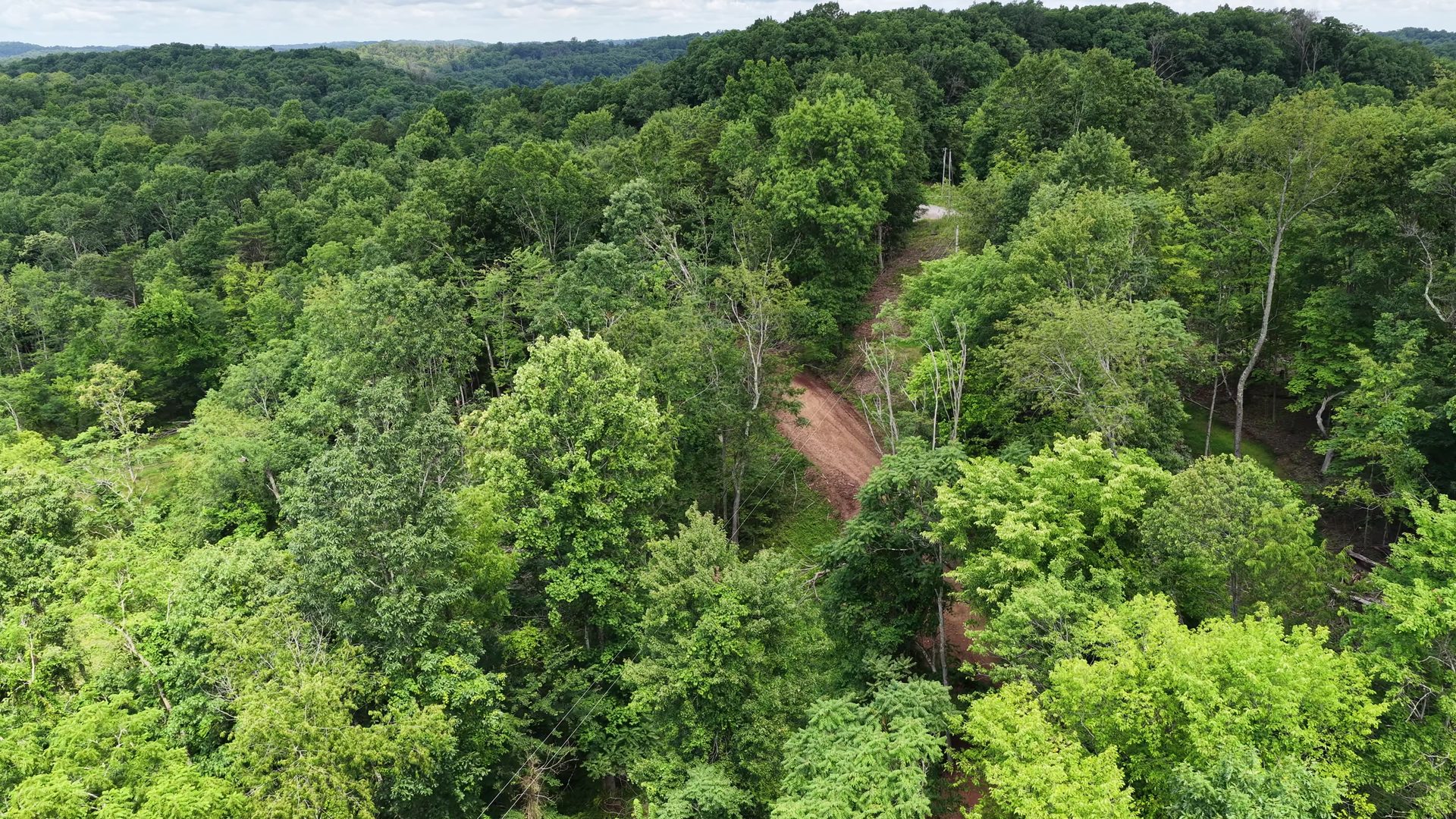 16 Acres with Ravine in Washington County, OH - Shay Ridge Road Tract 3 - Photo 3