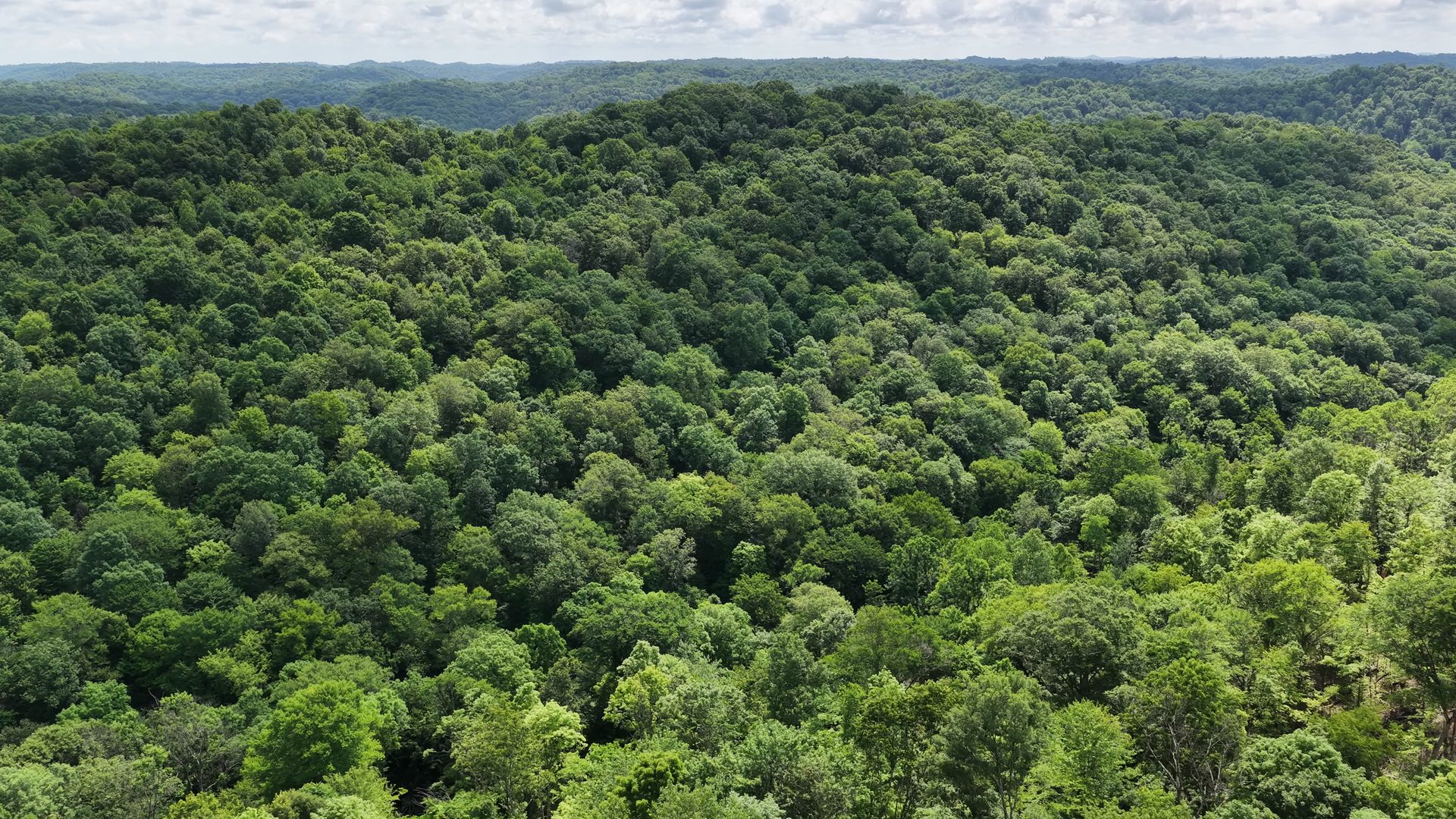 16 Acres with Ravine in Washington County, OH - Shay Ridge Road Tract 3 - Photo 4