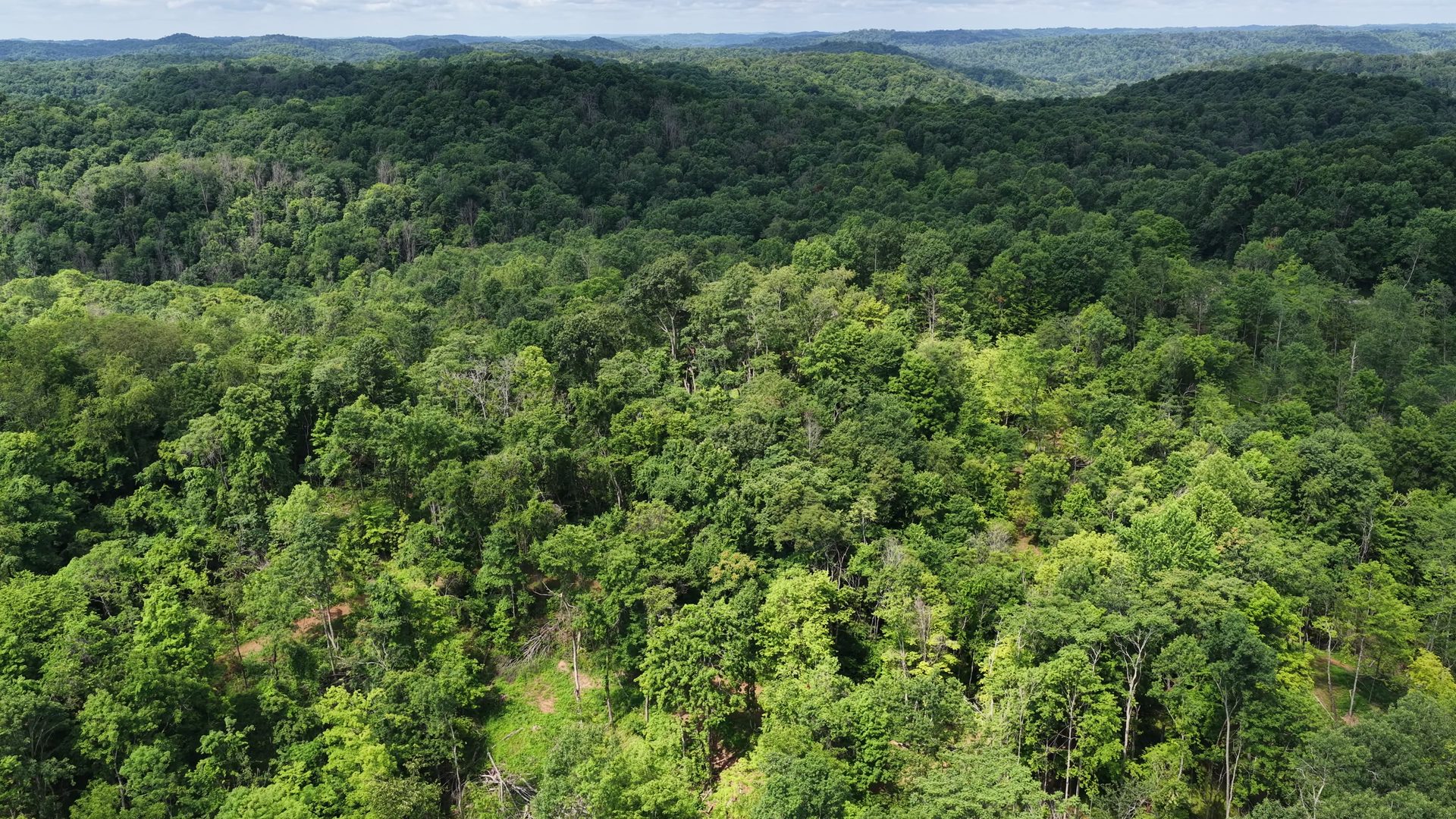 16 Acres with Ravine in Washington County, OH - Shay Ridge Road Tract 3 - Photo 5