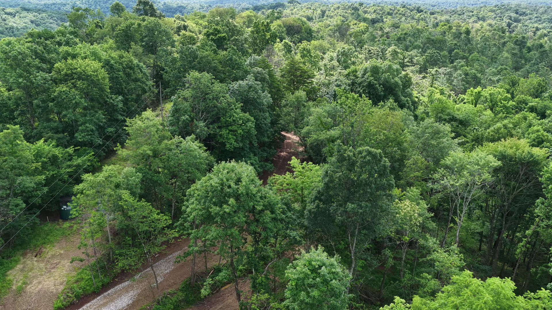 16 Acres with Ravine in Washington County, OH - Shay Ridge Road Tract 3 - Photo 7