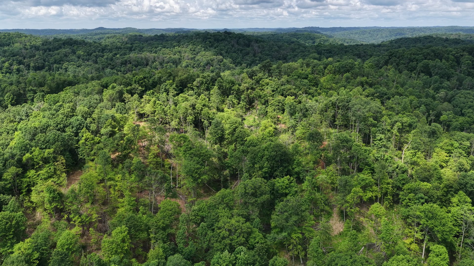 16 Acres with Ravine in Washington County, OH - Shay Ridge Road Tract 3 - Photo 9
