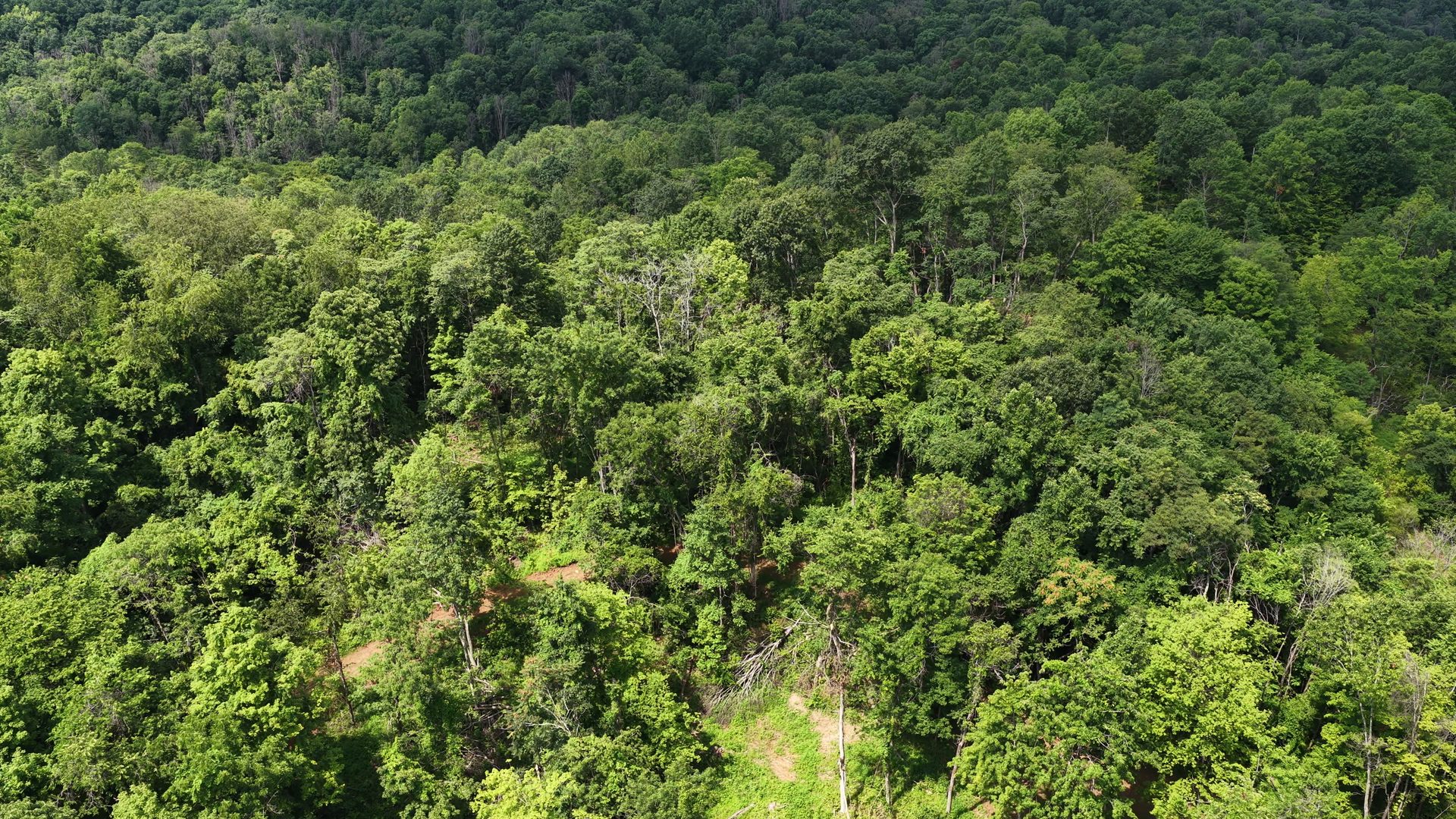 16 Acres with Ravine in Washington County, OH - Shay Ridge Road Tract 3 - Photo 10