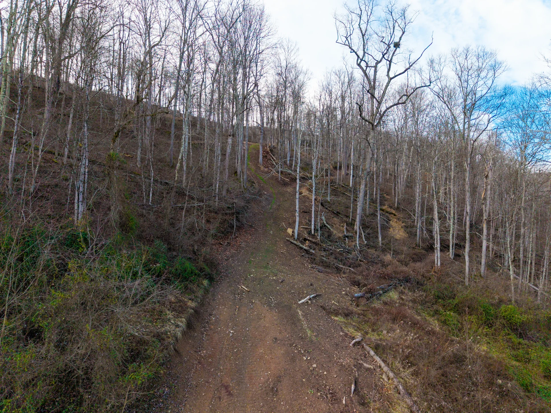 160 Acres in Washington County, OH - State Route 26 - Photo 12