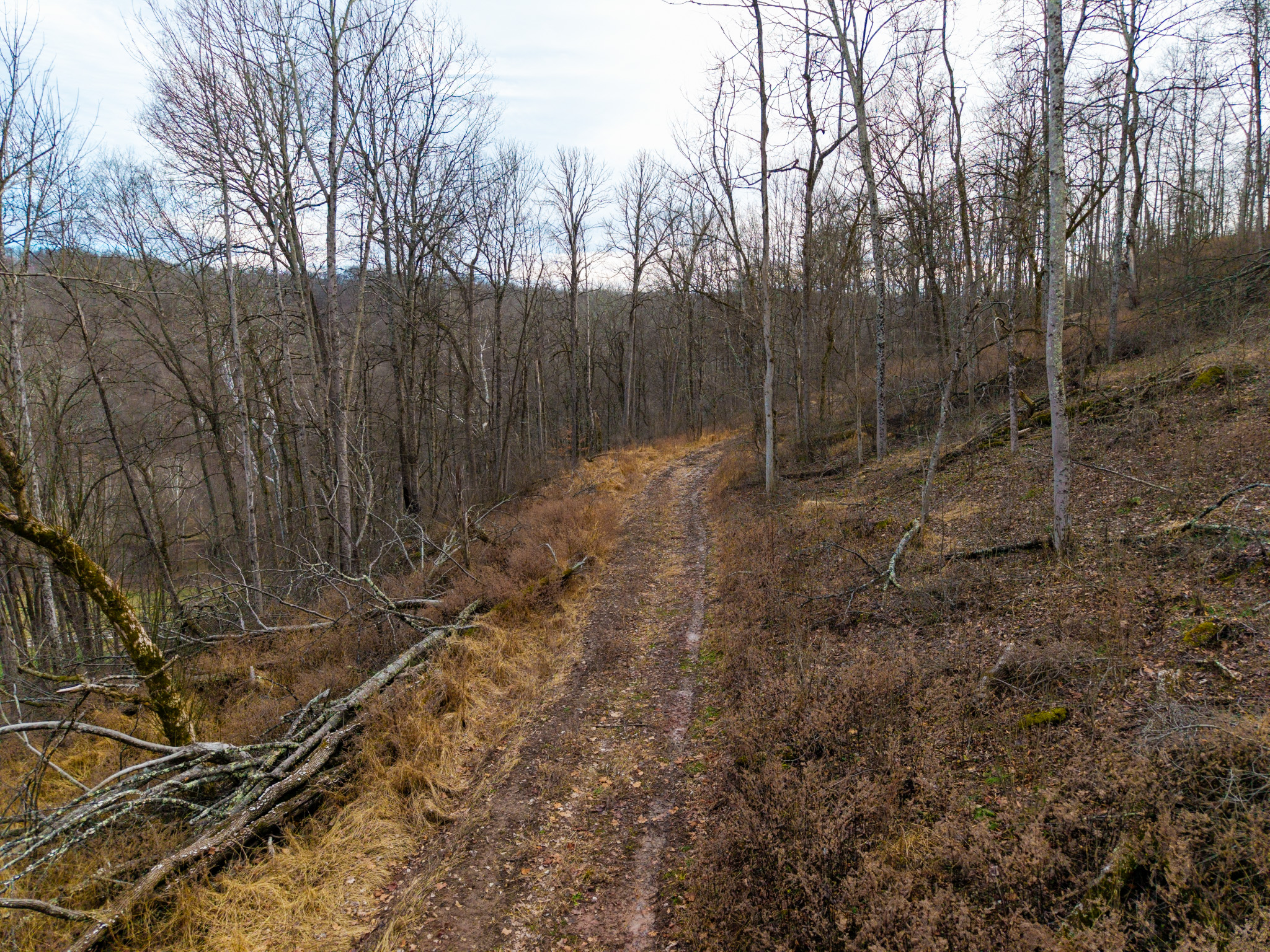 160 Acres in Washington County, OH - State Route 26 - Photo 14