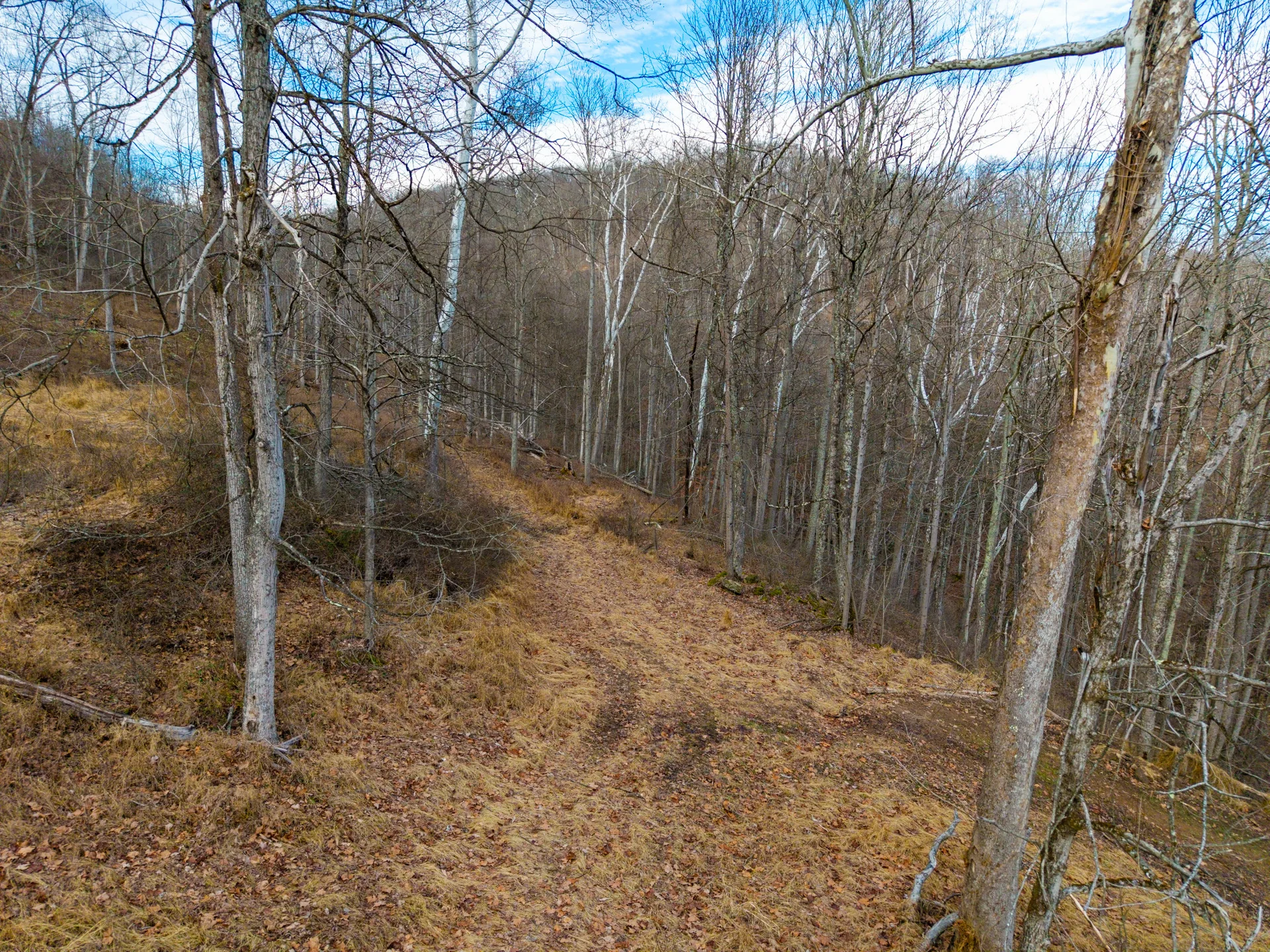 160 Acres in Washington County, OH - State Route 26 - Photo 15