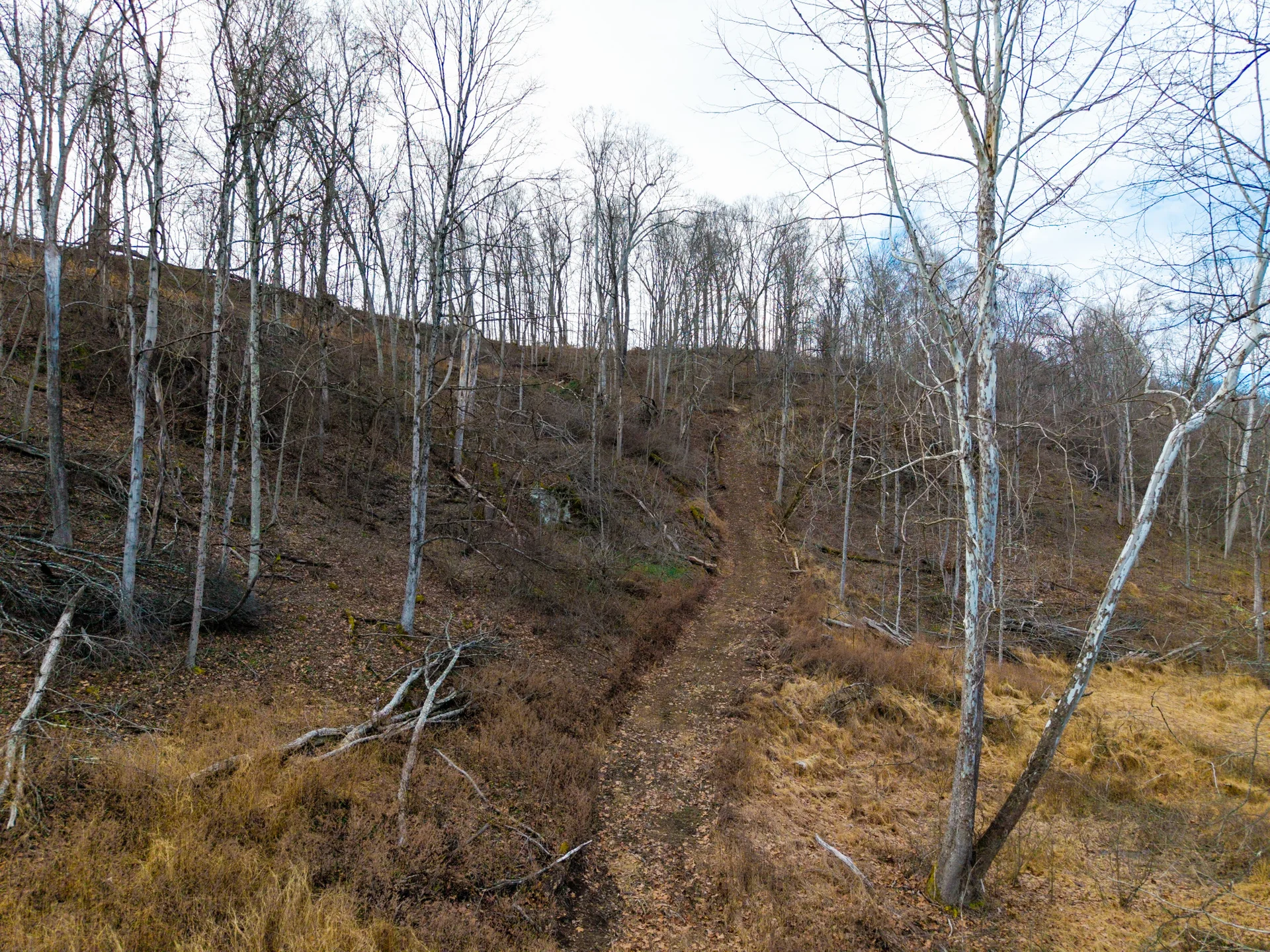 160 Acres in Washington County, OH - State Route 26 - Photo 16