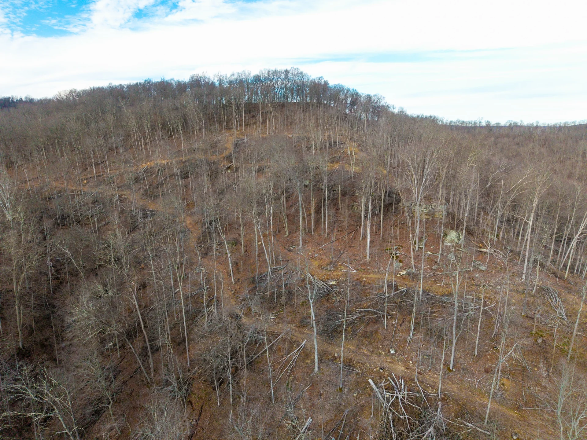 160 Acres in Washington County, OH - State Route 26 - Photo 17