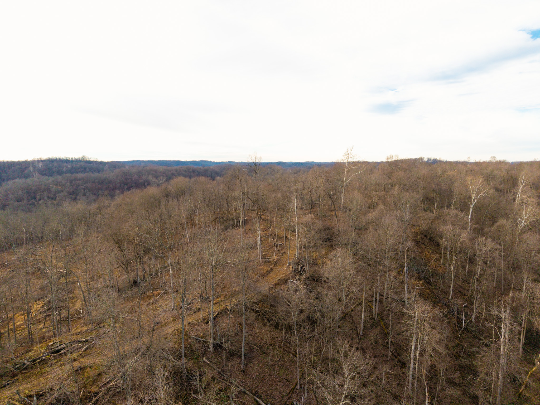 160 Acres in Washington County, OH - State Route 26 - Photo 19