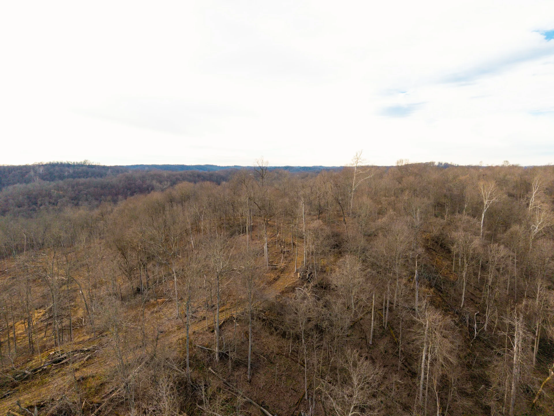 160 Acres in Washington County, OH - State Route 26 - Photo 19