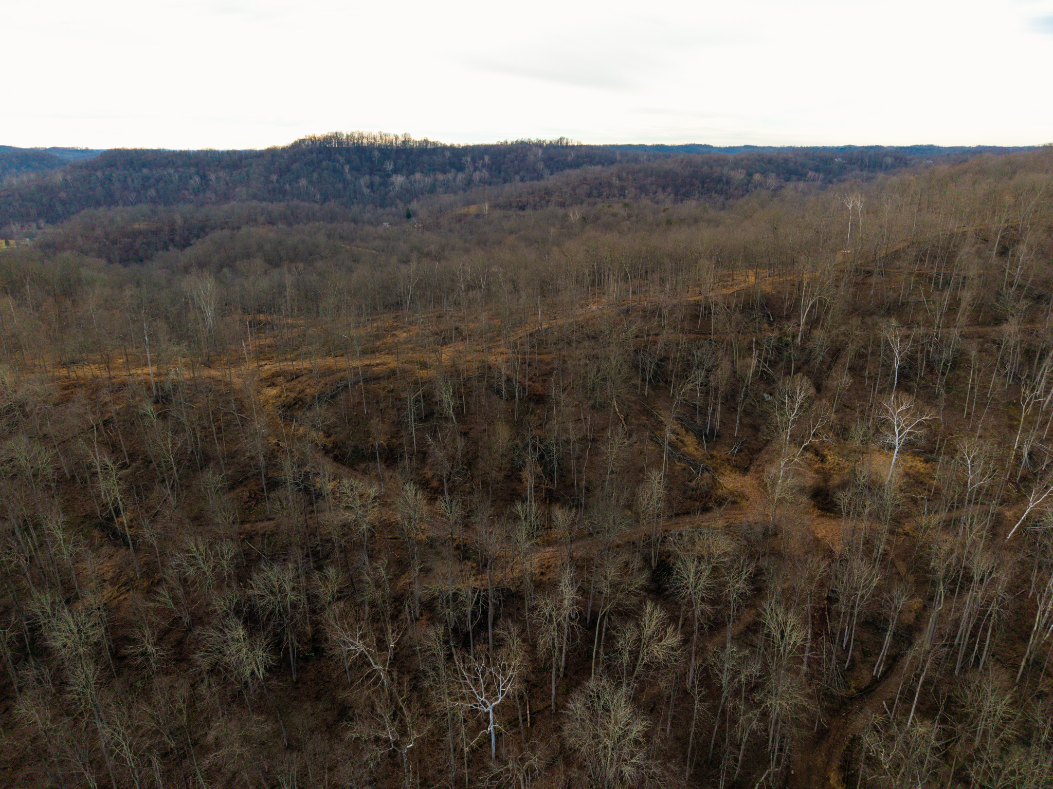 160 Acres in Washington County, OH - State Route 26 - Photo 20