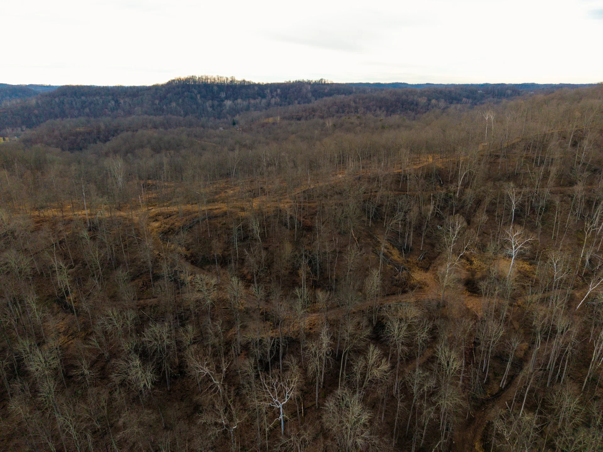 160 Acres in Washington County, OH - State Route 26 - Photo 20