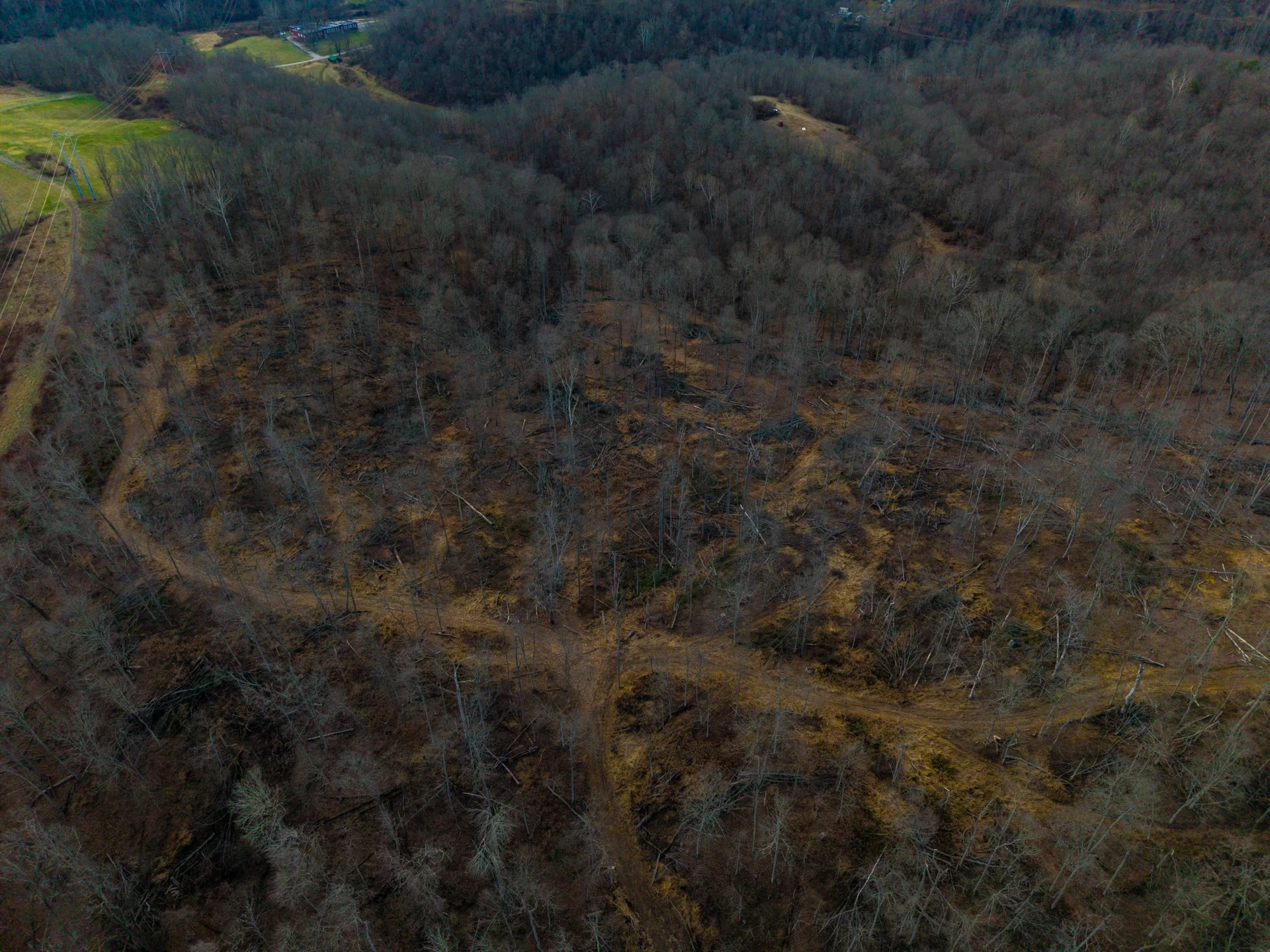 160 Acres in Washington County, OH - State Route 26 - Photo 21