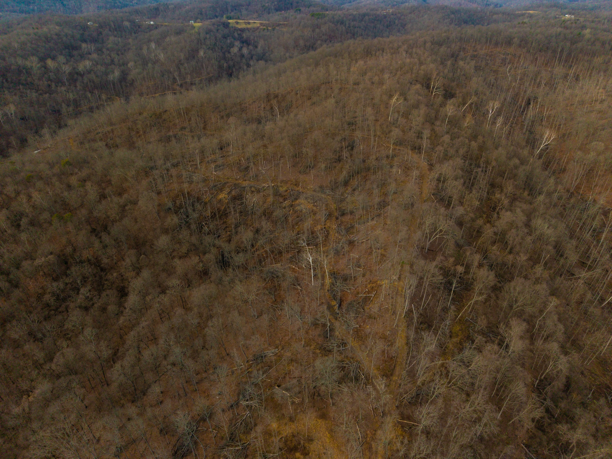 160 Acres in Washington County, OH - State Route 26 - Photo 22