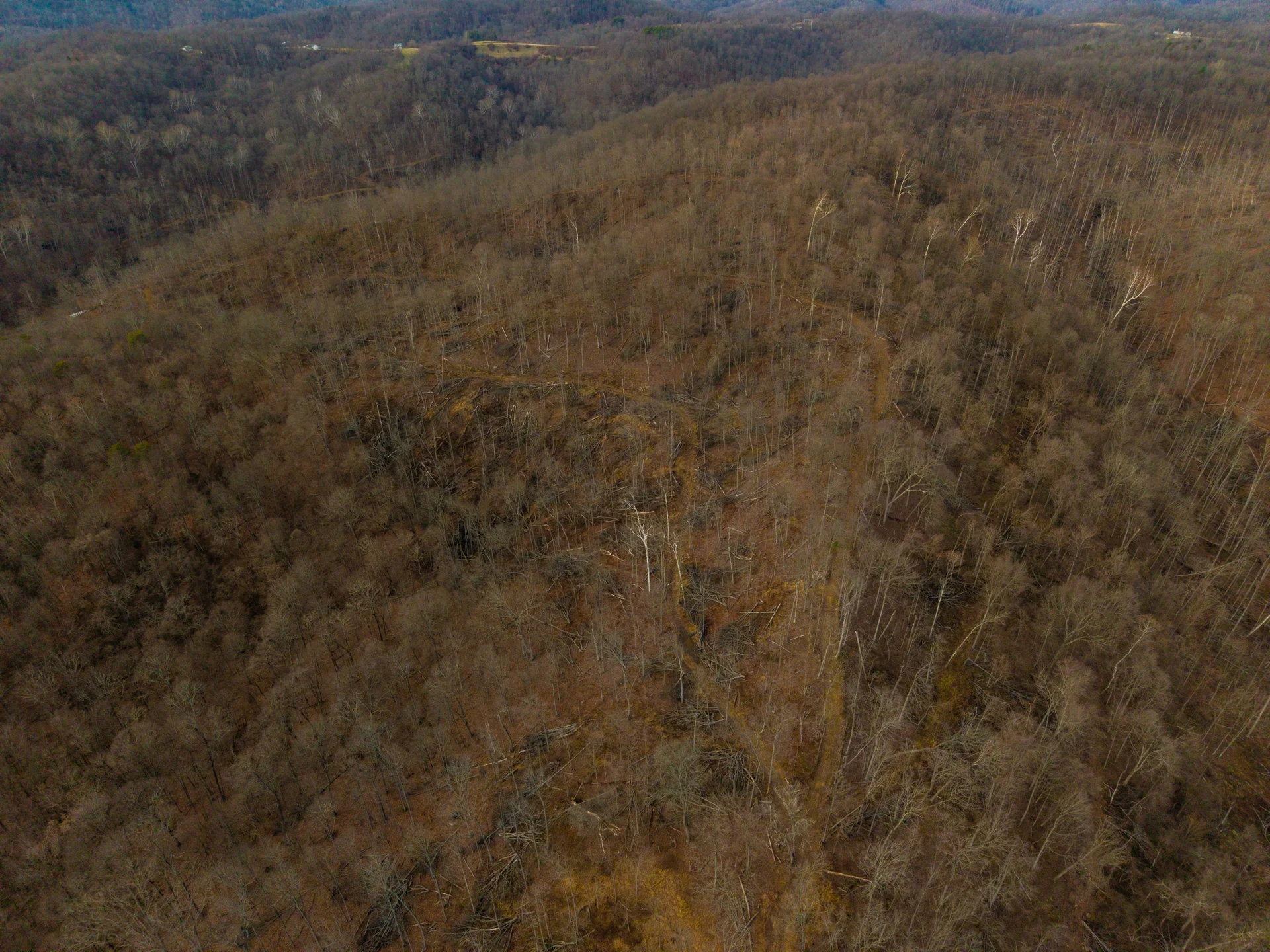 160 Acres in Washington County, OH - State Route 26 - Photo 22