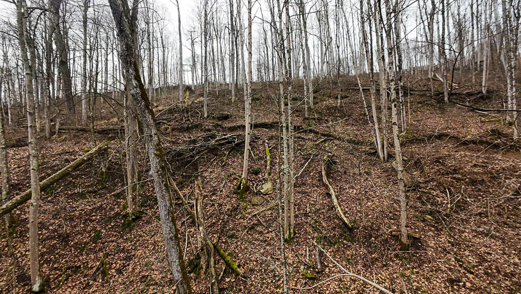 160 Acres in Washington County, OH - State Route 26 - Photo 29