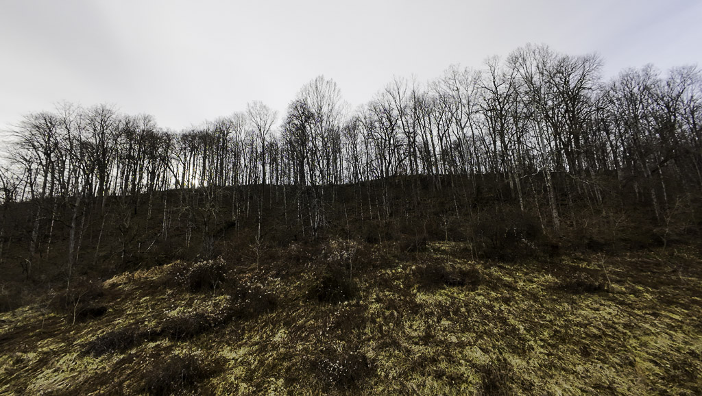 160 Acres in Washington County, OH - State Route 26 - Photo 30