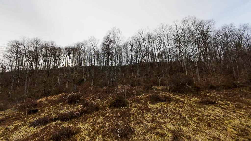 160 Acres in Washington County, OH - State Route 26 - Photo 30