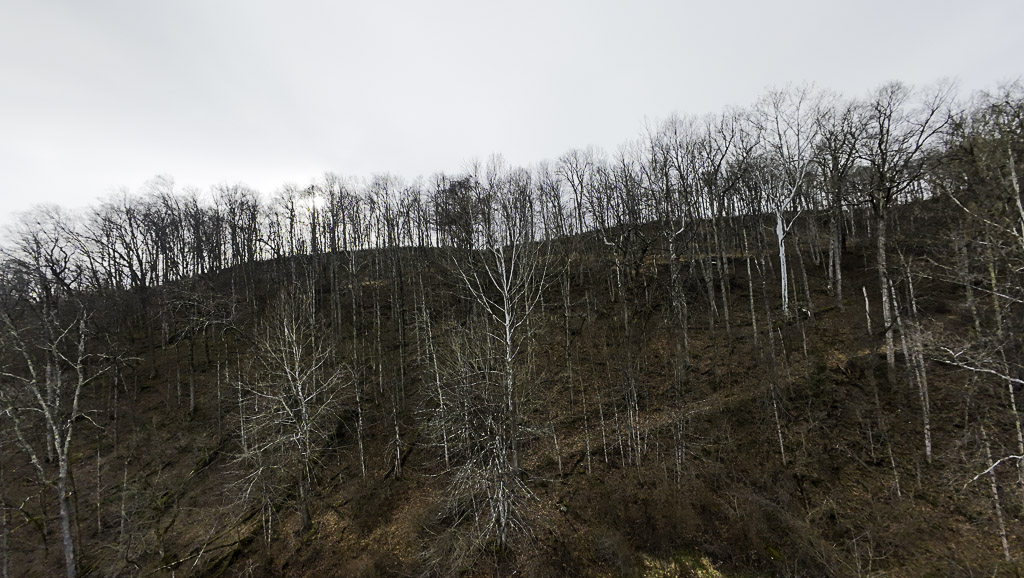 160 Acres in Washington County, OH - State Route 26 - Photo 31