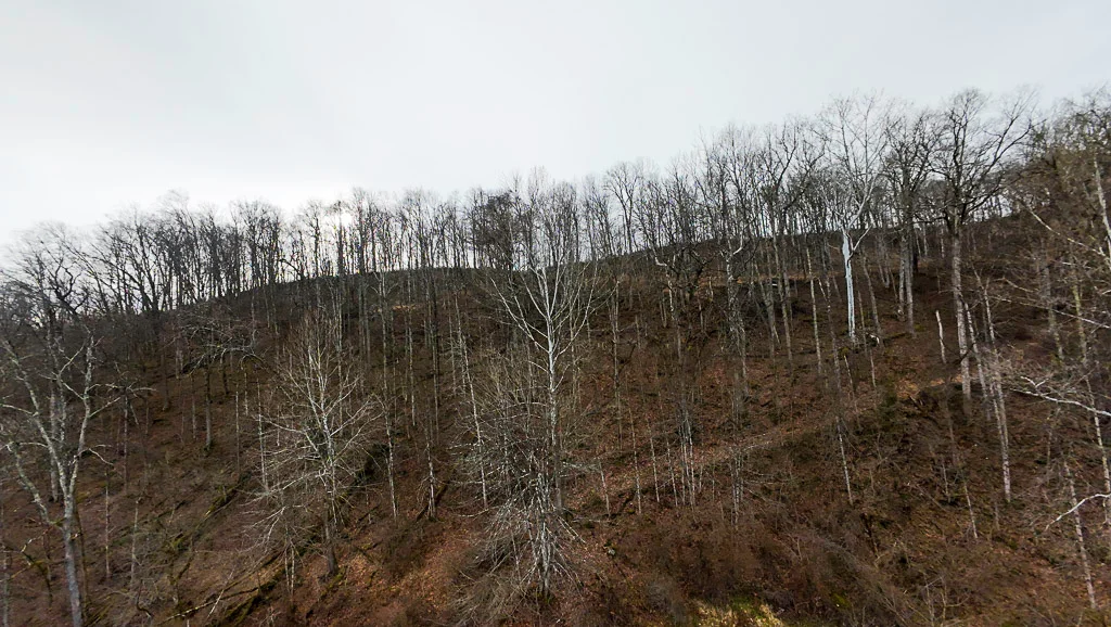 160 Acres in Washington County, OH - State Route 26 - Photo 31