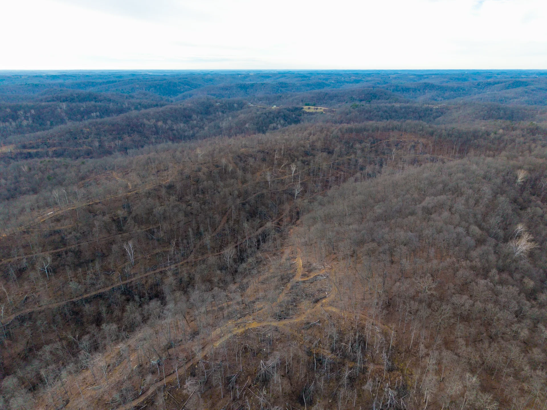 160 Acres in Washington County, OH - State Route 26 - Photo 7