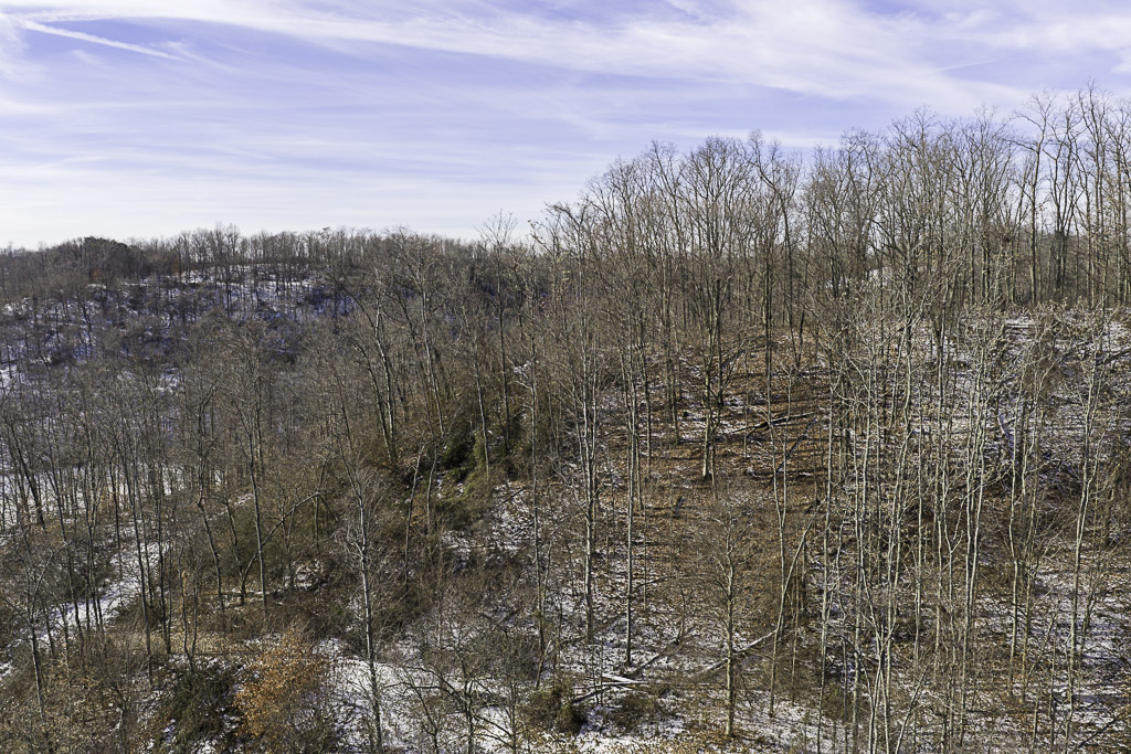 17 Acres in Washington County, OH - Moss Road - Photo 13