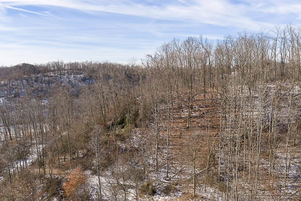 17 Acres in Washington County, OH - Moss Road - Photo 13