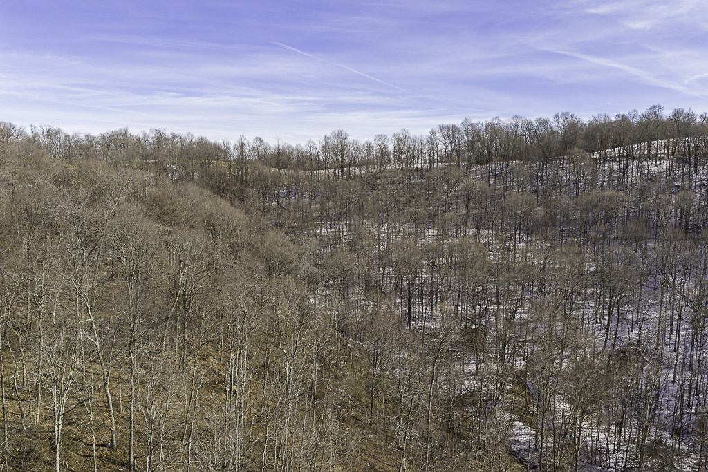 17 Acres in Washington County, OH - Moss Road - Photo 14