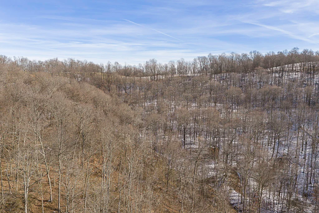 17 Acres in Washington County, OH - Moss Road - Photo 14