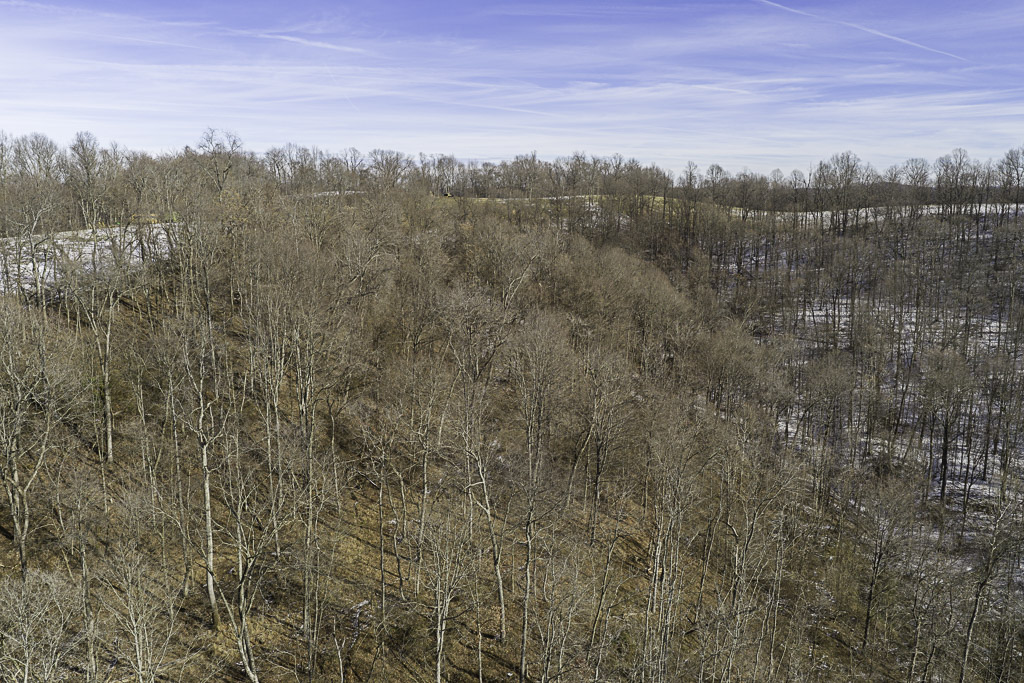 17 Acres in Washington County, OH - Moss Road - Photo 15