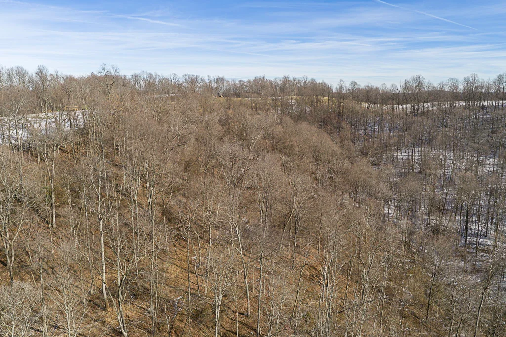 17 Acres in Washington County, OH - Moss Road - Photo 15