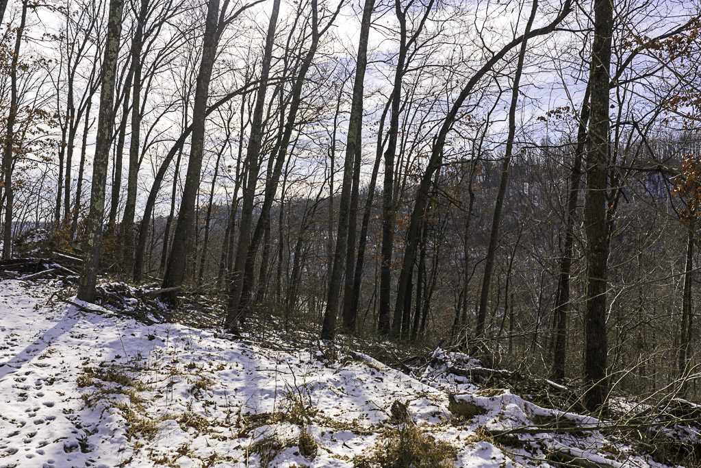 17 Acres in Washington County, OH - Moss Road - Photo 3