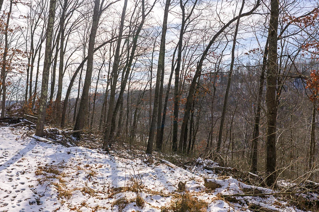 17 Acres in Washington County, OH - Moss Road - Photo 3