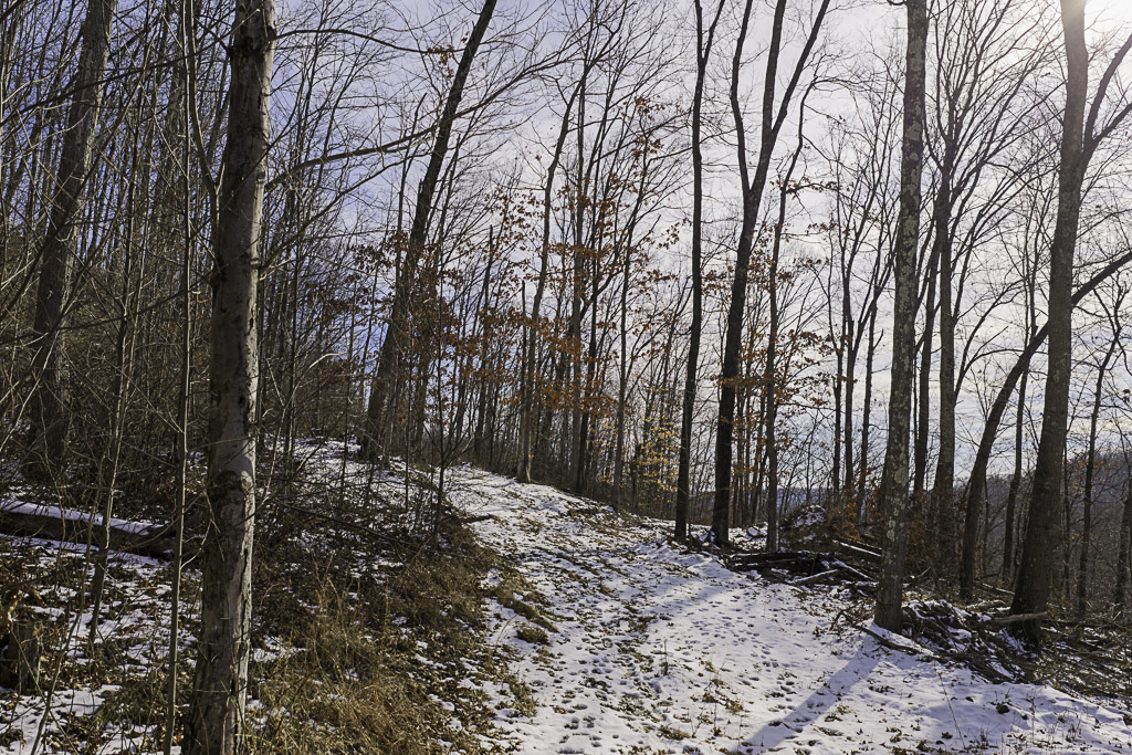 17 Acres in Washington County, OH - Moss Road - Photo 4