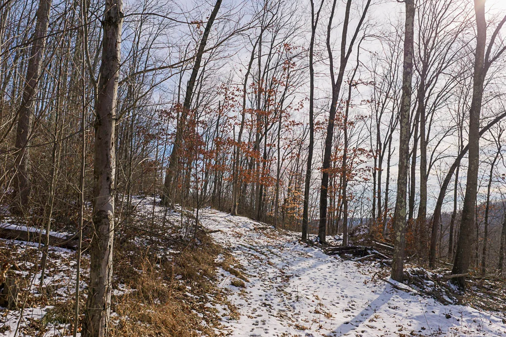 17 Acres in Washington County, OH - Moss Road - Photo 4