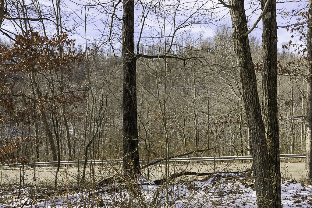 17 Acres in Washington County, OH - Moss Road - Photo 5