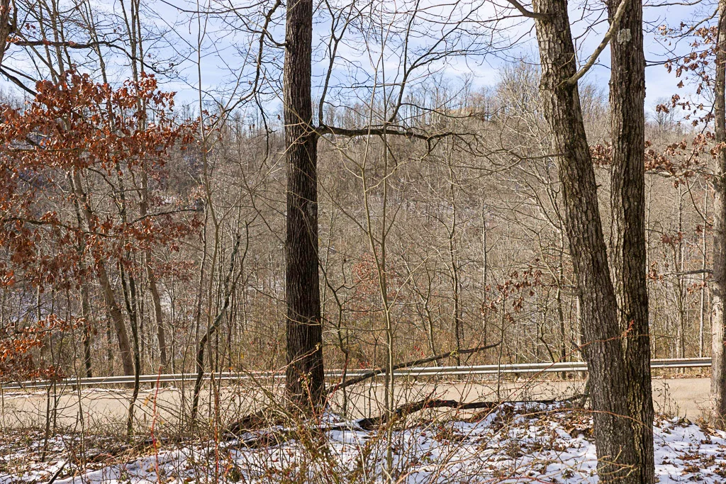 17 Acres in Washington County, OH - Moss Road - Photo 5