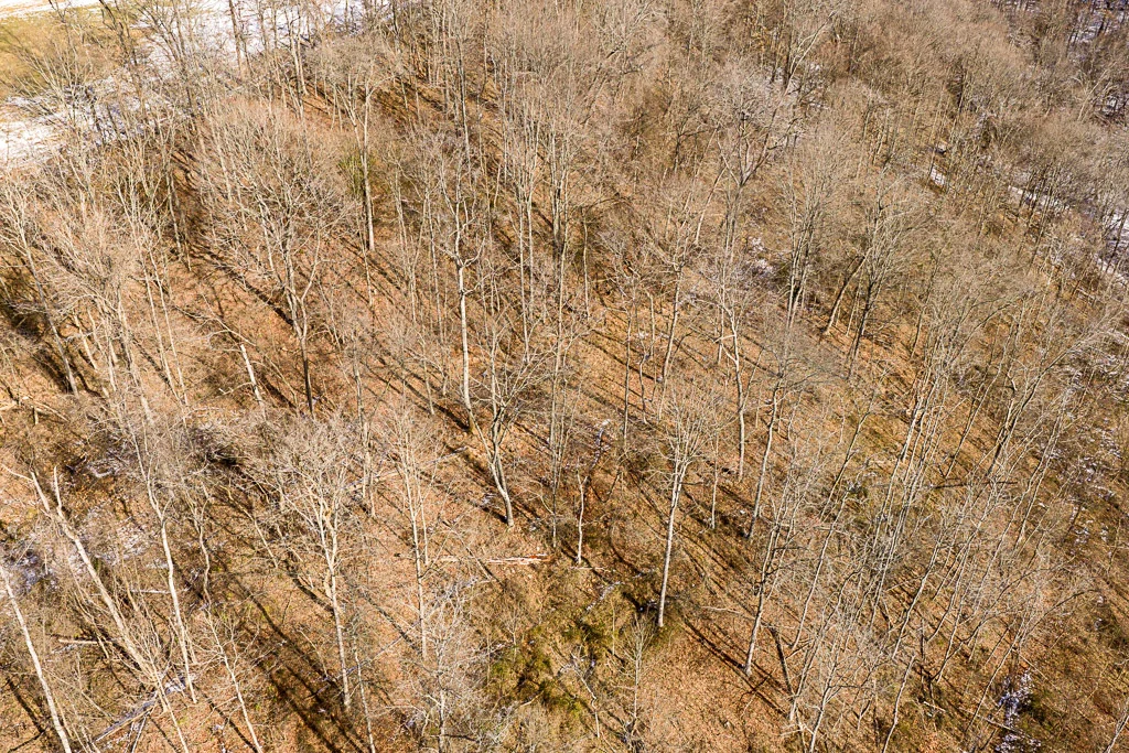 17 Acres in Washington County, OH - Moss Road - Photo 7