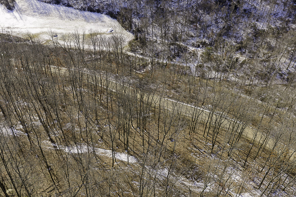 17 Acres in Washington County, OH - Moss Road - Photo 8