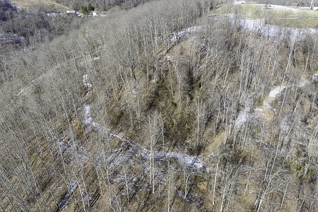 17 Acres in Washington County, OH - Moss Road - Photo 10