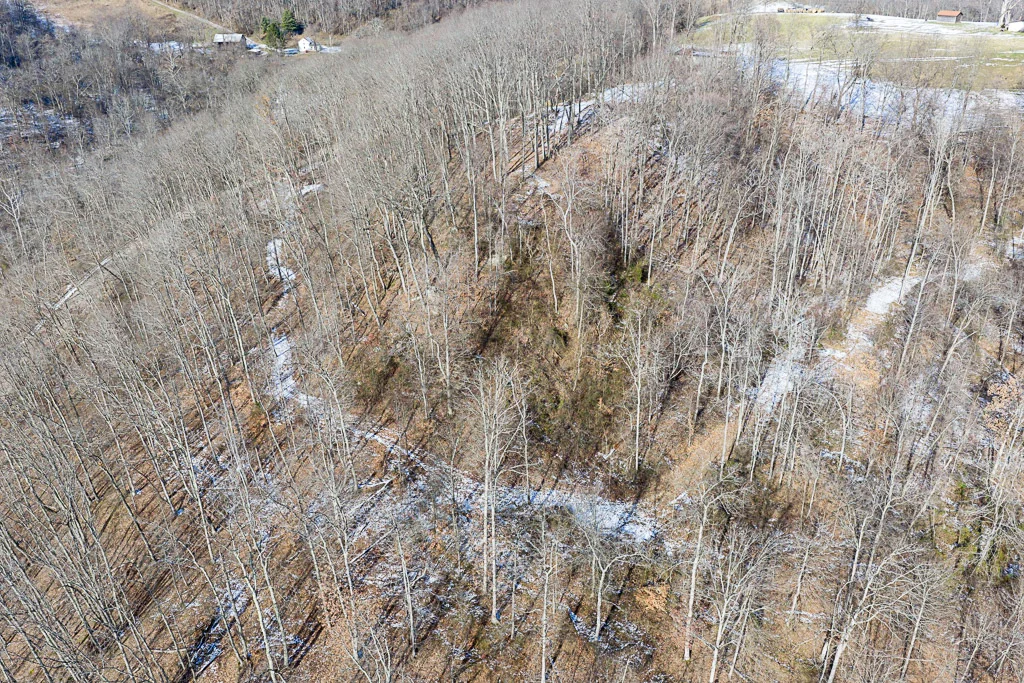 17 Acres in Washington County, OH - Moss Road - Photo 10