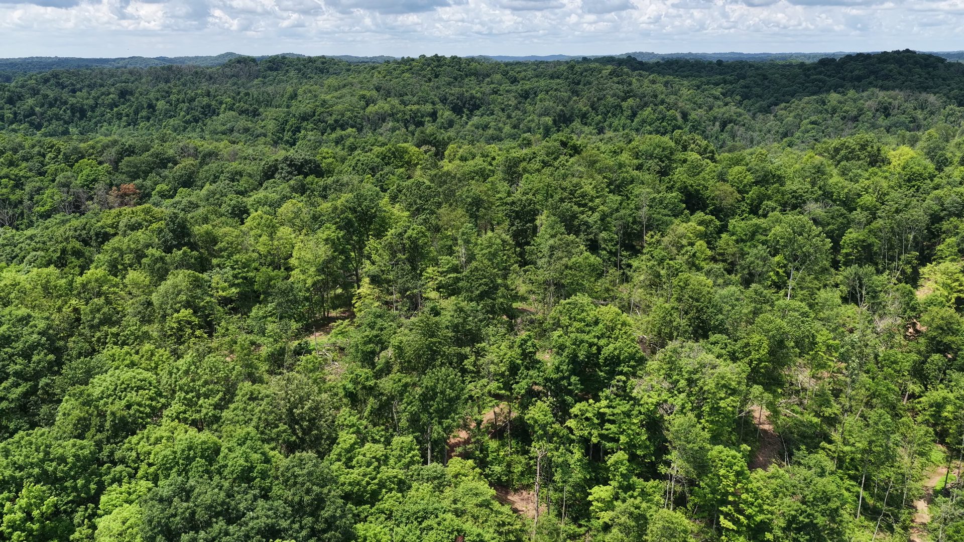 18 Acres Bordering Wayne National Forest in Washington County, OH - Shay Ridge Road Tract 9 - Photo 11