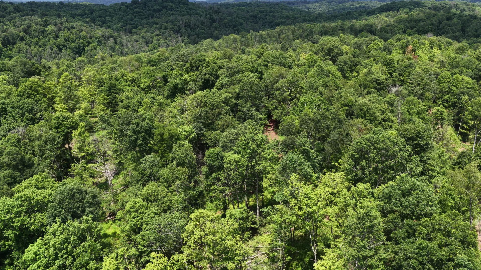 18 Acres Bordering Wayne National Forest in Washington County, OH - Shay Ridge Road Tract 9 - Photo 12