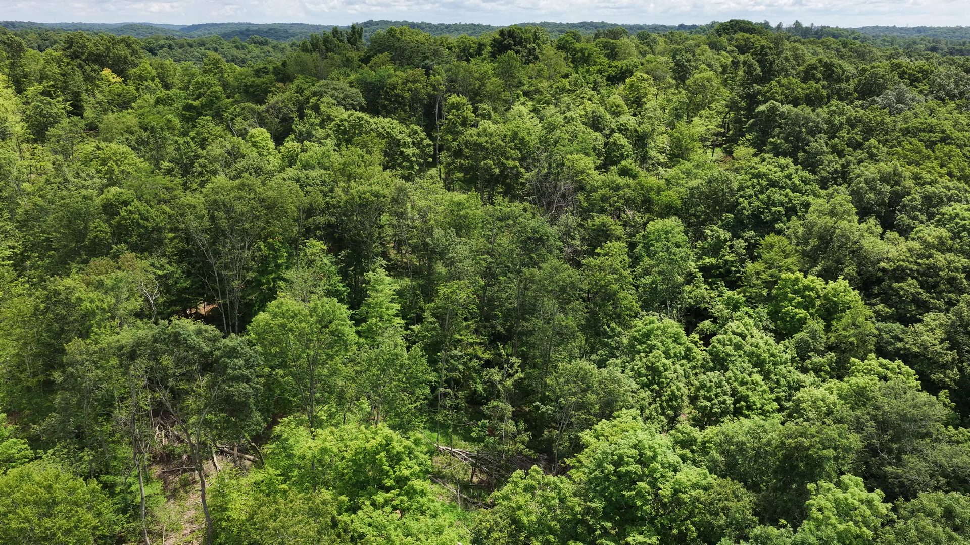 18 Acres Bordering Wayne National Forest in Washington County, OH - Shay Ridge Road Tract 9 - Photo 14