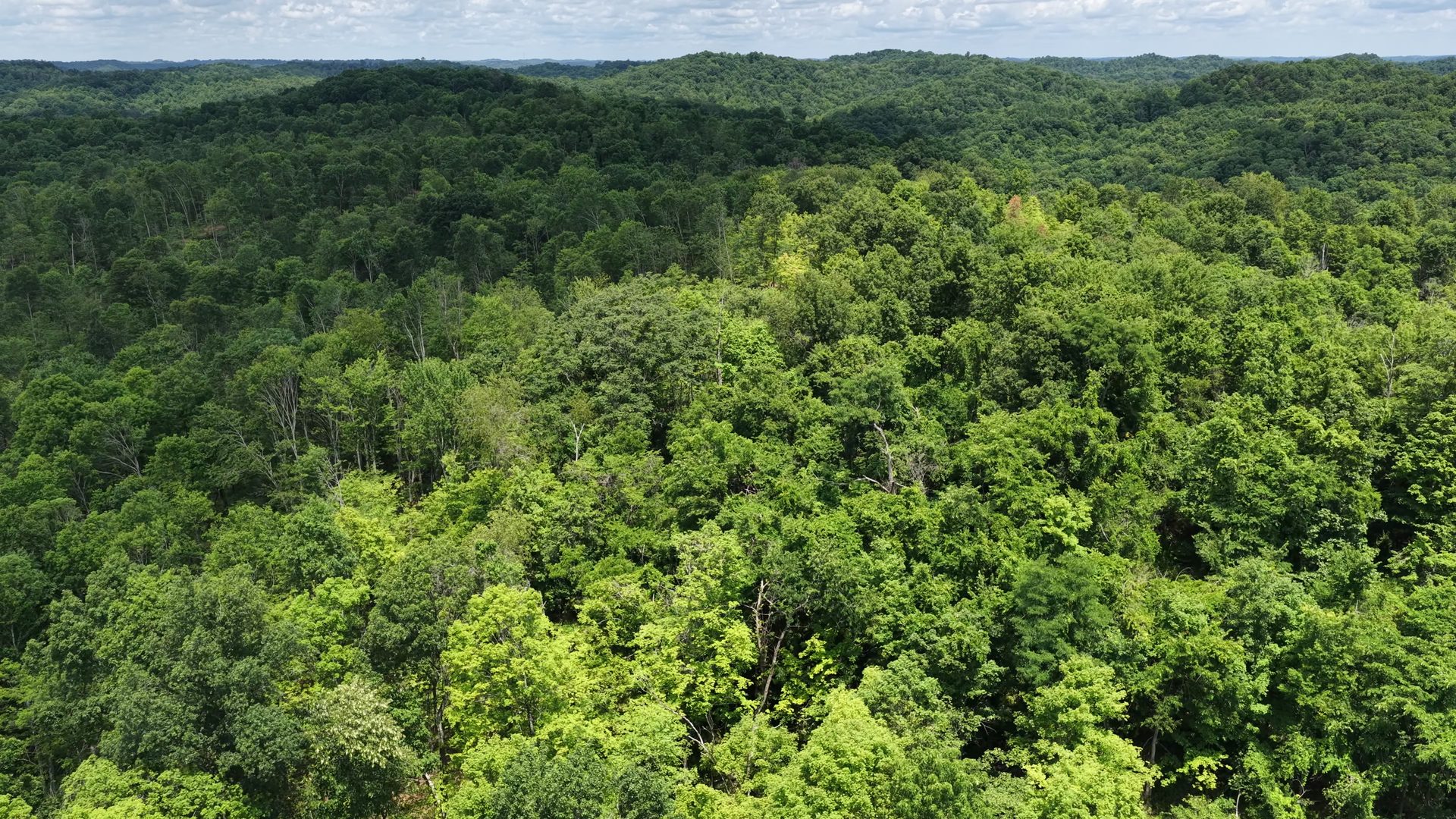 18 Acres Bordering Wayne National Forest in Washington County, OH - Shay Ridge Road Tract 9 - Photo 16